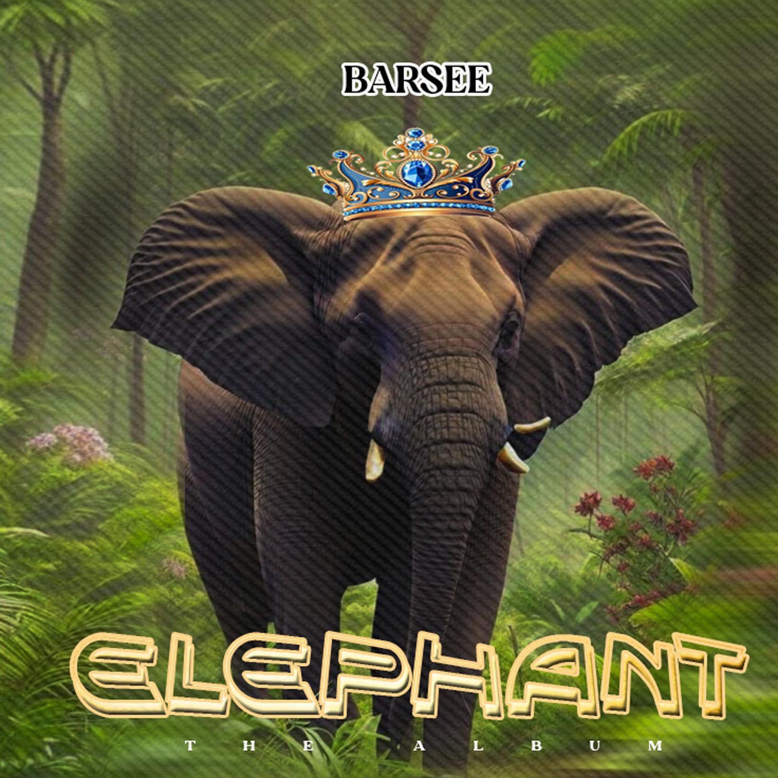 Elephant - Barsee Mokopala Kilode